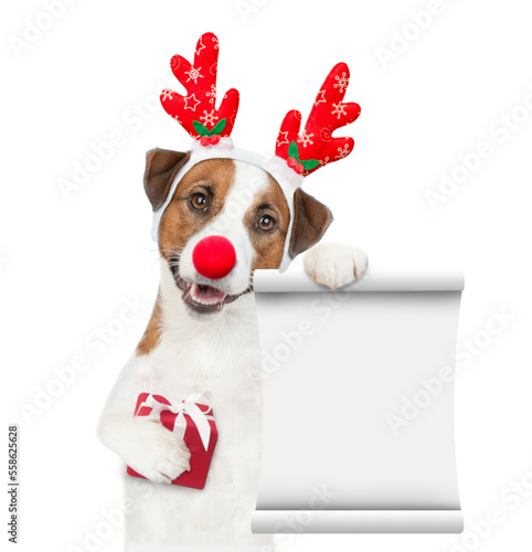 Jack russell terrier puppy dressed like santa claus reindeer  Rudolf holding gift box and showing empty list. isolated on white background © Ermolaev Alexandr
