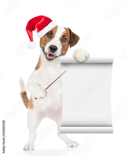 Jack russell terrier puppy wearing santa hat points on empty list. isolated on white background