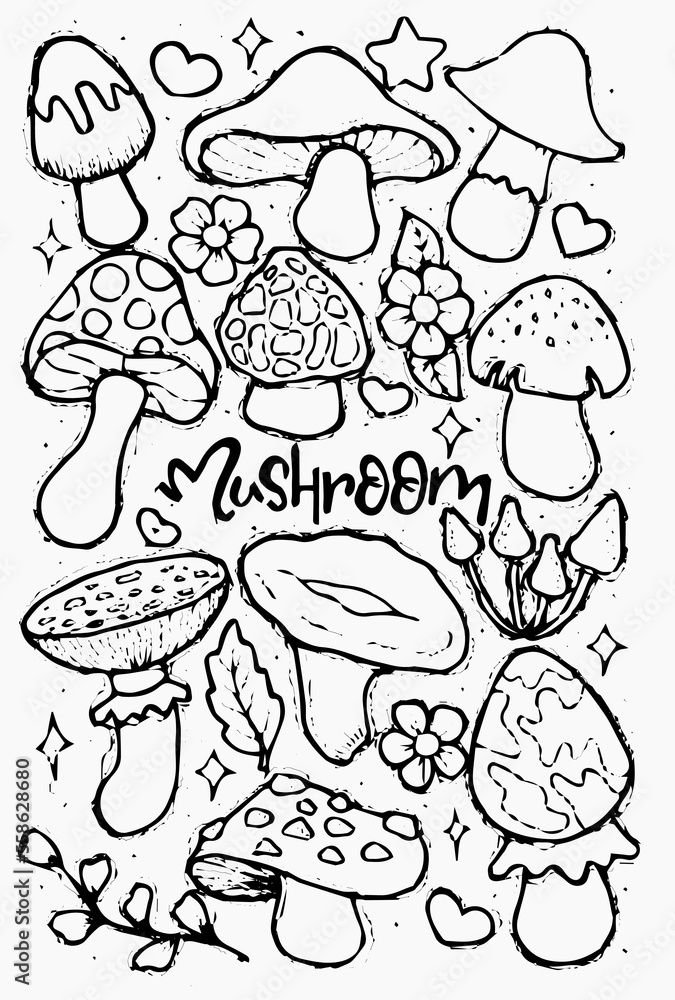 mushrooms on a white background mushrooms on a white background
