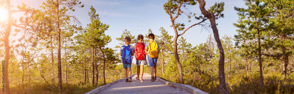 Obraz premium Children walking on the boardwalk on bog.