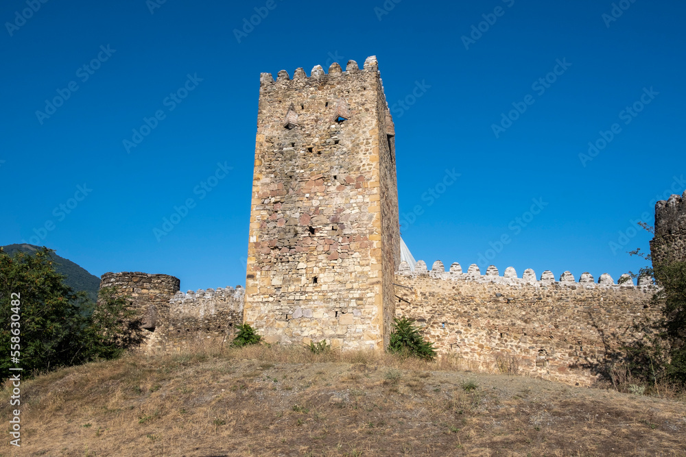 Ananuri castle fragment