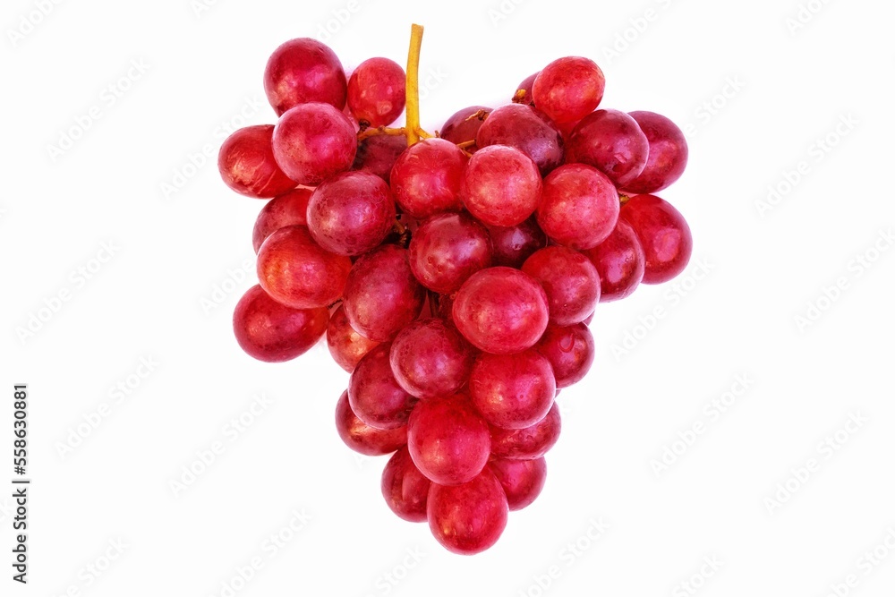 red grapes on a white background red grapes on a white background