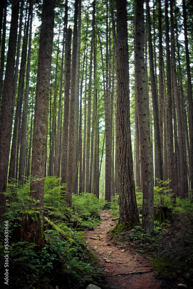 Nature Trails Nature Trails