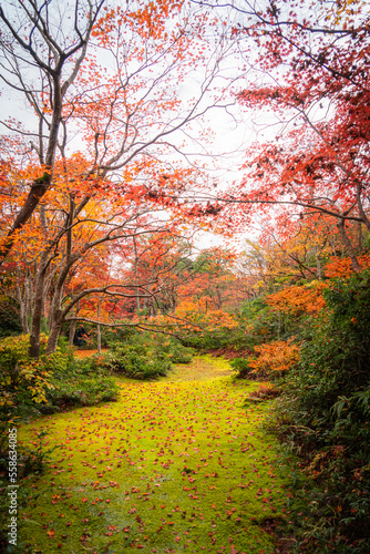 autumn season in japan