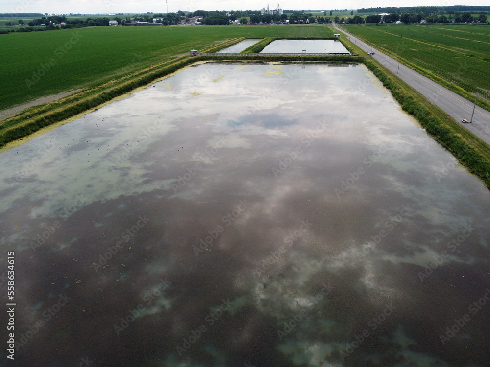 le bassin de sédimentation des eaux usées du village de BaieduFebvre