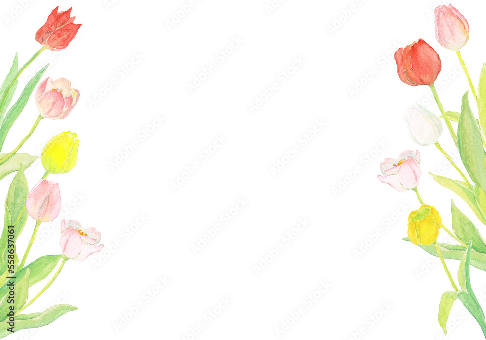 水彩絵の具で描いたチューリップ 水彩絵の具で描いたチューリップ