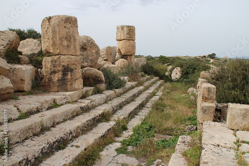 ruined greco-roman acropolis in selinunte in sicily (italy)  photo