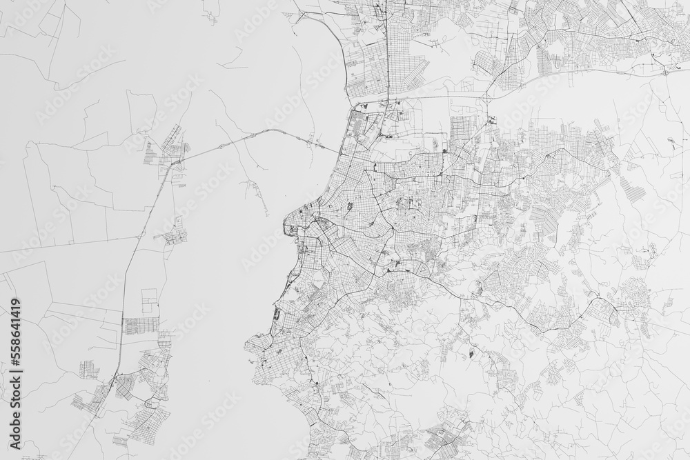 Map of the streets of Porto Alegre (Brazil) on white background. 3d render, illustration Map of the streets of Porto Alegre (Brazil) on white background. 3d render, illustration
