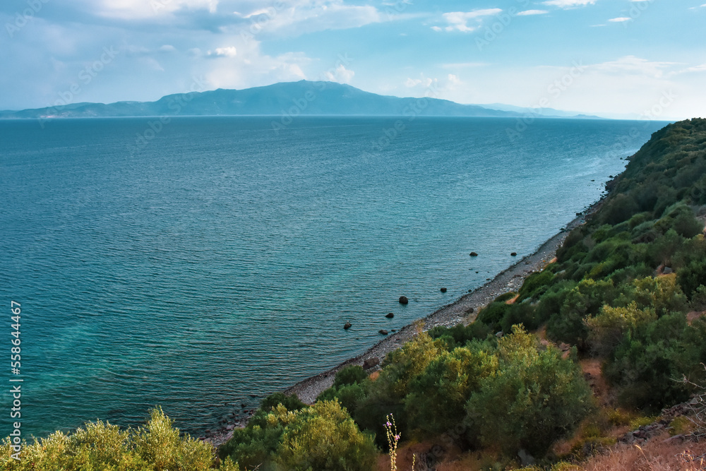 Assos Çanakkale Troias coastline, Aegean herbs growing in the mountains in spring, mountains and a cloud sky