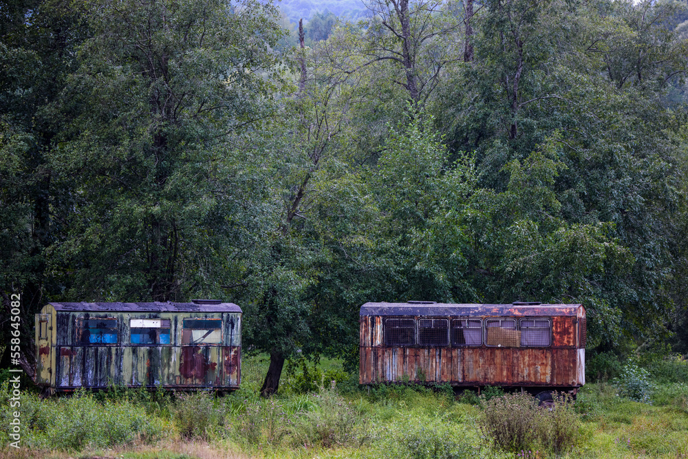 two old wagons at the edge of a forest two old wagons at the edge of a forest