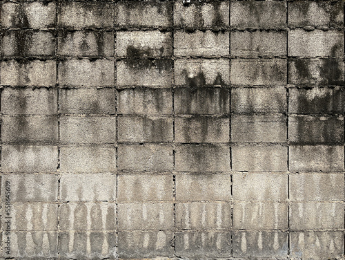 Mold on Concrete Block Walls photo