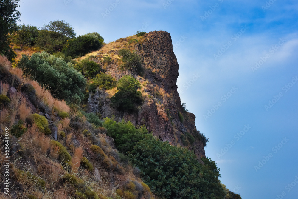 A mountain top with a clear sky and various dwarf Mediterranean scrub plants
