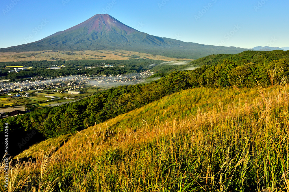 道志山塊の高座山より望む富士山
