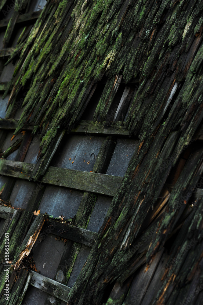 Naklejka premium Old wooden roof with green moss in nature.