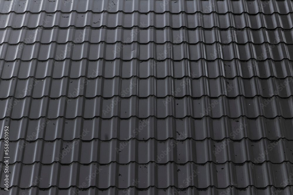 Fototapeta premium Old metal gray roof in nature.