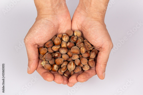 Two male hands hold hazelnuts on a gray background. Harvest concept. Top view close-up.