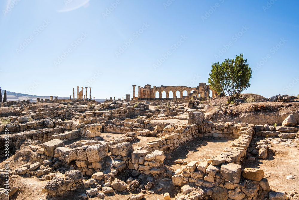 Fototapeta premium Well-preserved roman ruins in Volubilis, Fez Meknes area, Morocco