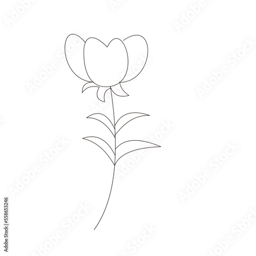 Line drawing flower illustration