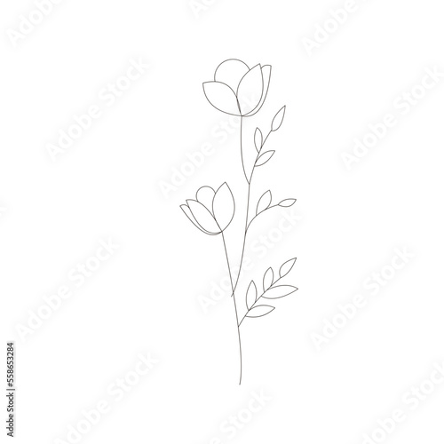 Line drawing flower illustration © Irvan