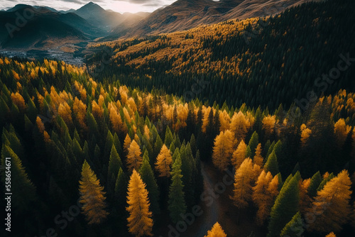 Aerial picture of hills covered in a dense forest of green and yellow trees, together with a dark mixture of pine trees, in autumn mountain forests at sunset. Generative AI