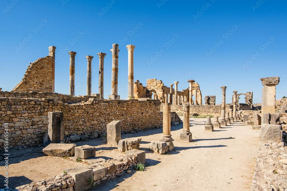 Well-preserved roman ruins in Volubilis, Fez Meknes area, Morocco