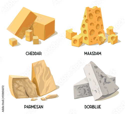 Types of cheese isolated food set different types illustration vector