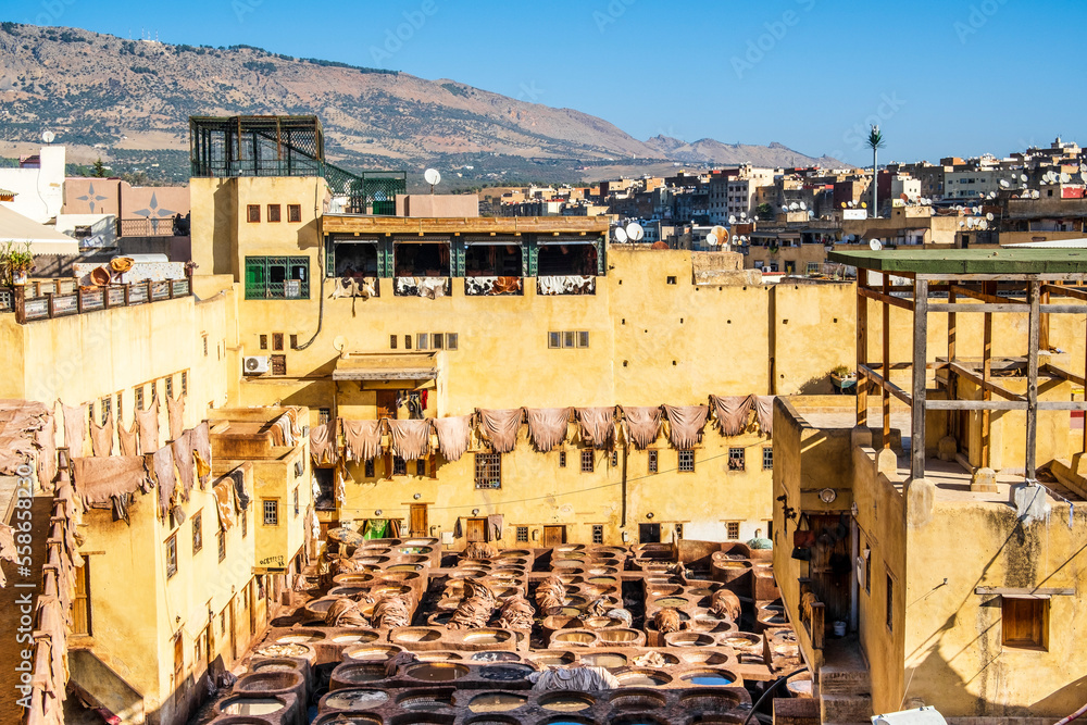 Obraz premium Famous skin tannery in Fes, Morocco, Africa