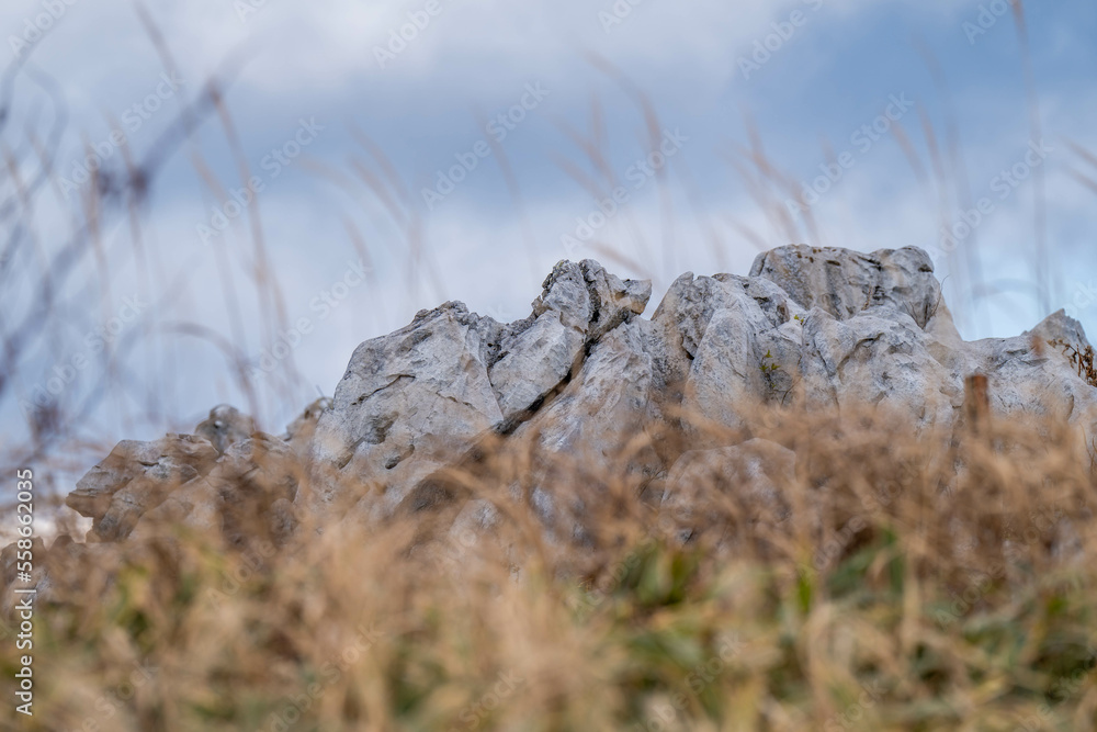 Obraz premium 四国カルスト