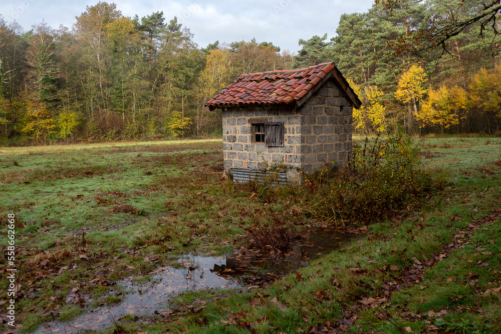 Traditional hut in a clearing in the middle of a forest