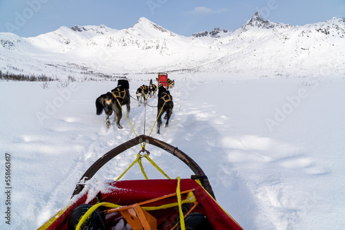 Hundeschlittenfahrt in Norwegen Tromso