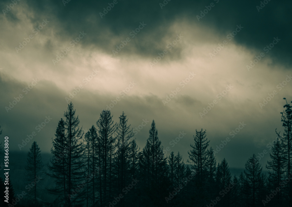 Last light. Last light.