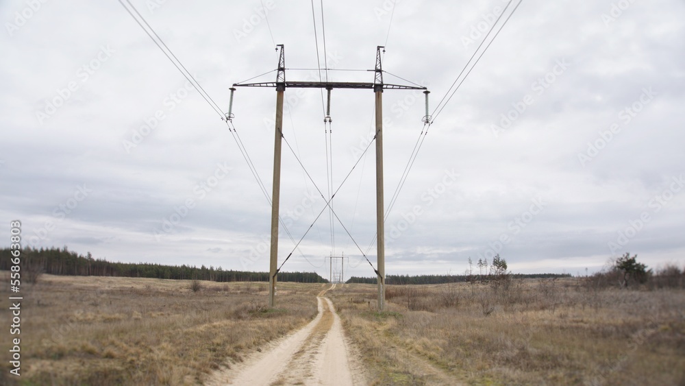 A power line runs through the forest