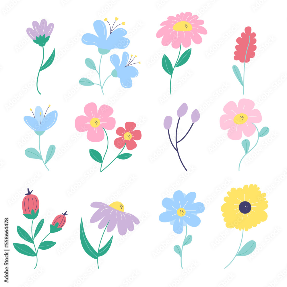 Collection of spring, summer flowers. Vector