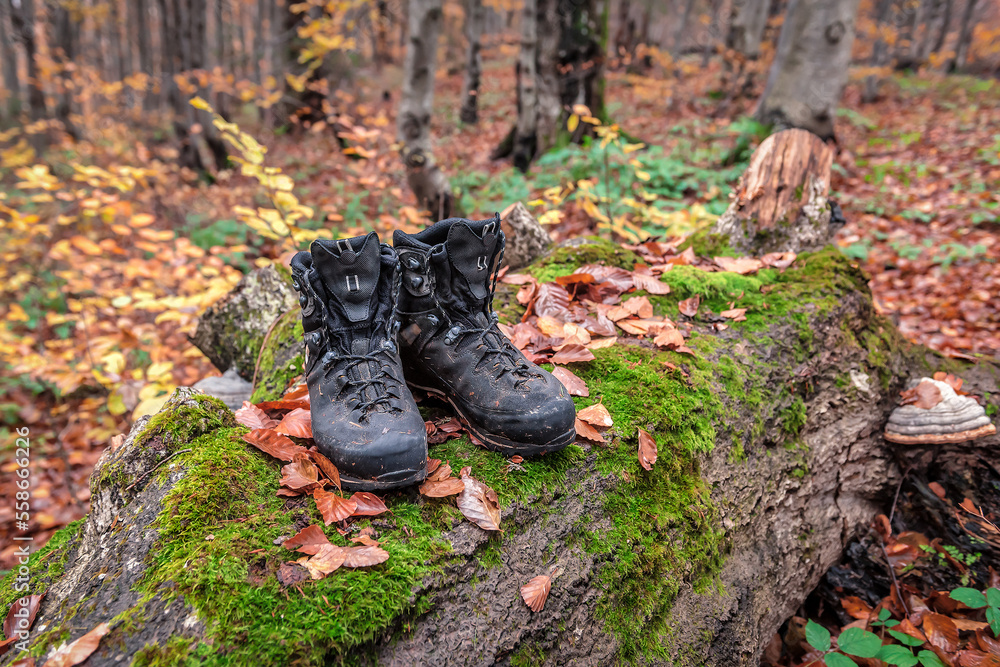 Used hiking boots in the wet forest Used hiking boots in the wet forest