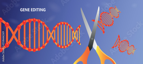 Gene editing illustration, Dna engineering. scissors cut abstract genome against the blue background. Vector illustration