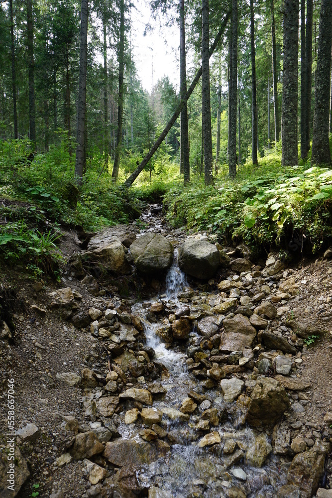 Tatrzańskie Potoki - Złoty Potok