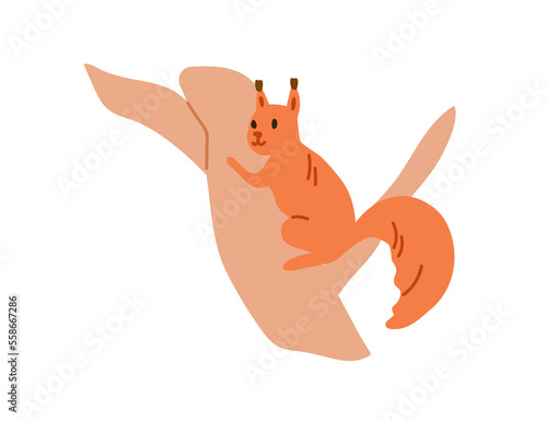 Forest squirrel on tree branch. Woods animal, small cute wild rodent. Happy woodland character. Little friendly mammal. Childish flat vector illustration isolated on white background