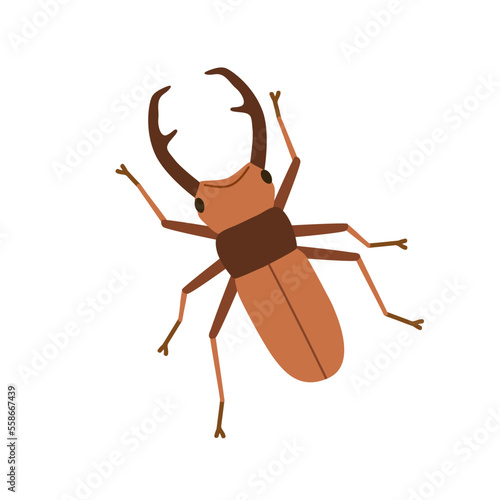 Greater stag beetle, horned European insect. Male horny bug crawling, above top view. Lucanus cervus. Flat vector illustration isolated on white background