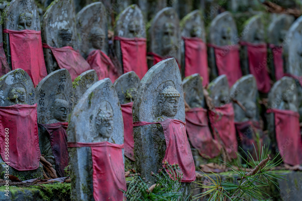 Fototapeta premium 岩屋寺