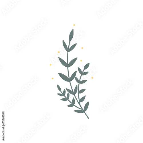 Abstract doodle branch graphic isolated on white background. Hand drawn vector illustration. Design elements © Maria