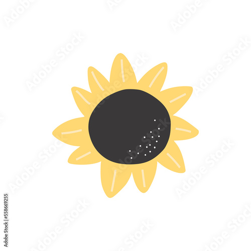 Abstract doodle sunflower graphic isolated on white background. Hand drawn vector illustration. Design elements..