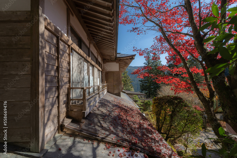 Obraz premium 岩屋寺