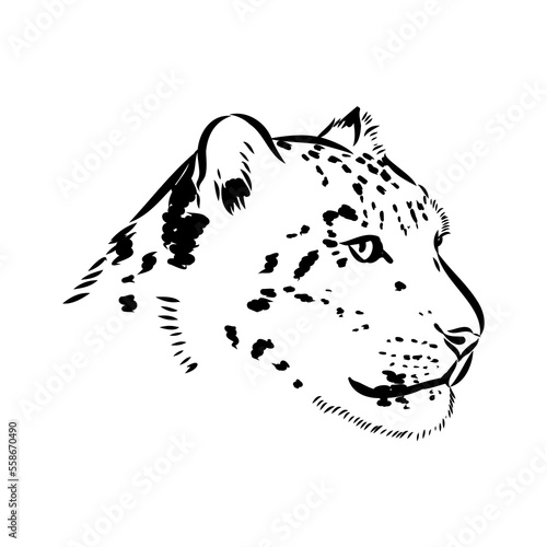 Canvas Print vector snow leopard, irbis wild cats graphic illustration
