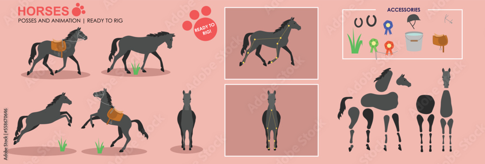 Black Horse ready to animate with multiple poses accessories. Vector ...
