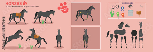 Papier peint Black Horse ready to animate with multiple poses accessories