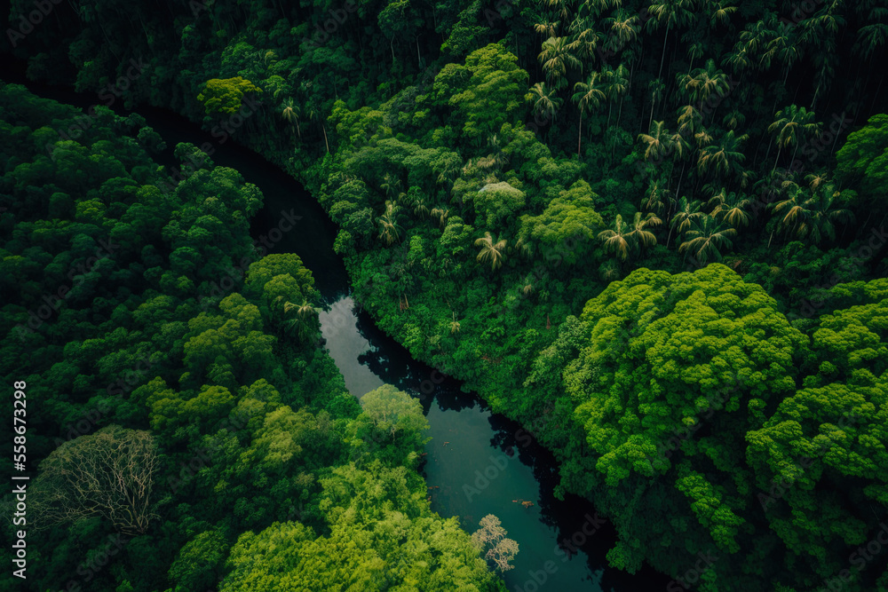 overhead image of a woodland in deep green abundant rainforest natural habitats. Reforestation and maintenance of the natural forest concept. Generative AI