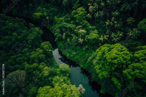 overhead image of a woodland in deep green abundant rainforest natural habitats. Reforestation and maintenance of the natural forest concept. Generative AI