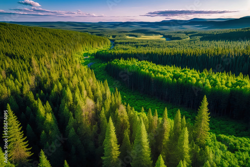 South Ural Forest has a distinctive topography, varied flora, and wildlife. Generative AI