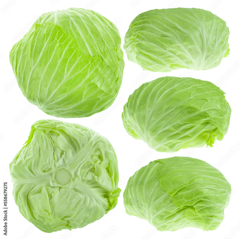 Collection of Green Cabbage Collection of Green Cabbage