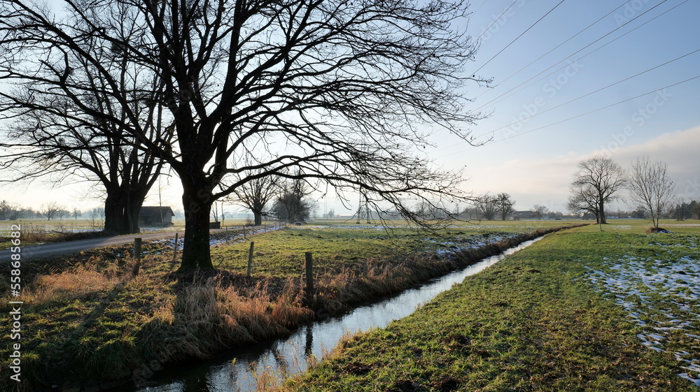 Narrow river in the field of a winter landscape Narrow river in the field of a winter landscape